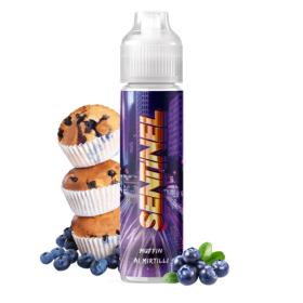 Cyber Steam - Sentinel